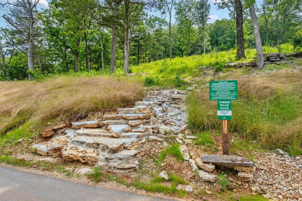 A rustic trailhead marked by stone steps and a trail sign, framed by dense greenery. The inviting entrance to the trail hints at hidden paths and wildlife encounters, embodying the spirit of adventure and nature exploration.